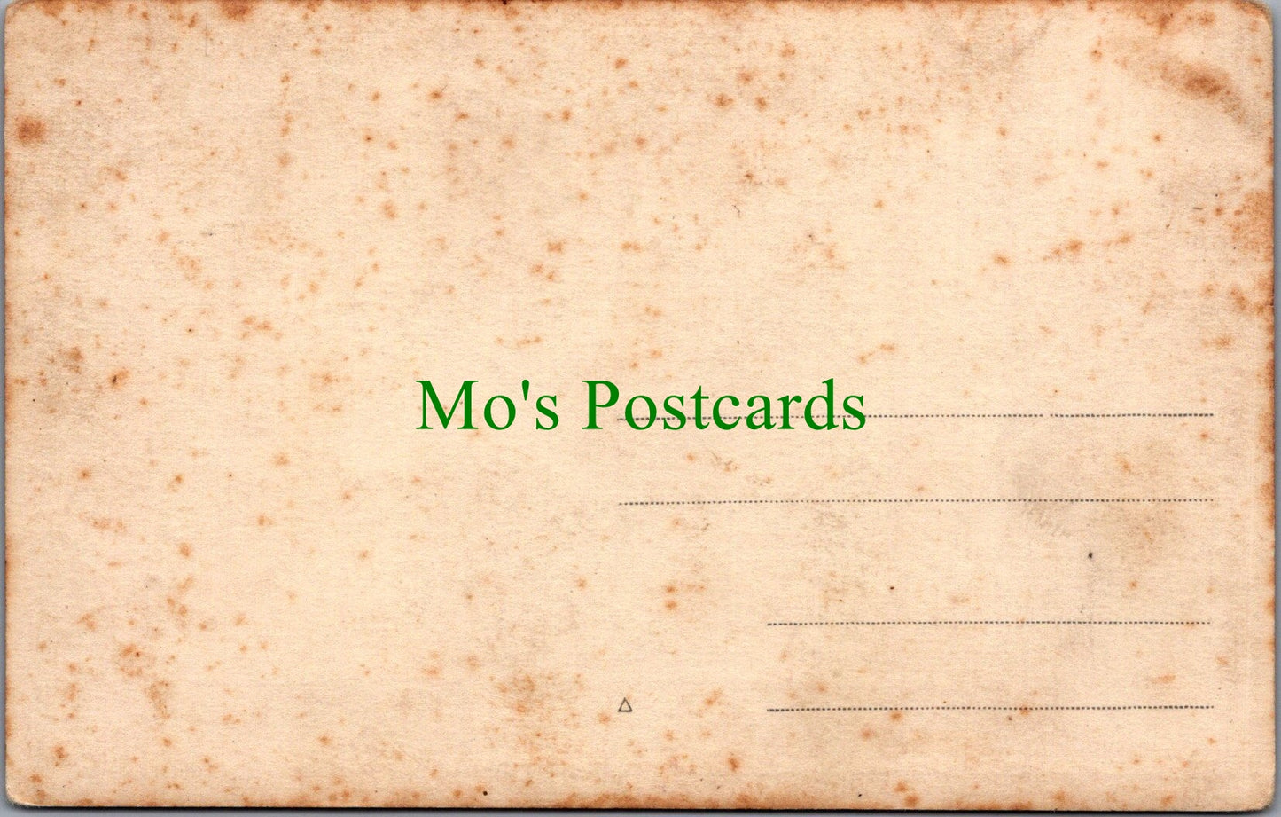 Animals Postcard - Young Man With Two Horses