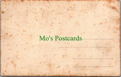 Animals Postcard - Young Man With Two Horses