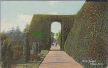 Load image into Gallery viewer, Holly Hedge, Keele Hall, Staffordshire
