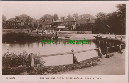 Village Pond, Chiddingfold, Near Witley