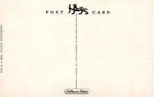 Load image into Gallery viewer, Cornwall Postcard - Padstow Harbour - Mo’s Postcards 
