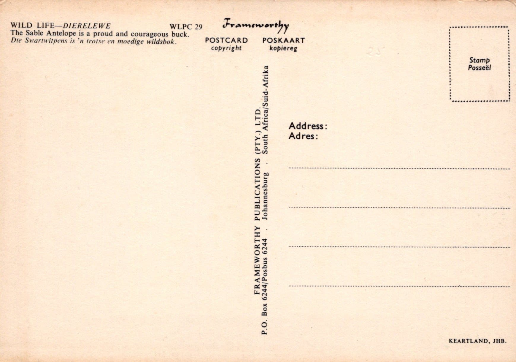 Animals Postcard - Wild Life - Dierelewe - The Sable Antelope - Mo’s Postcards 