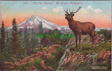 Load image into Gallery viewer, &quot;The Two Sentinels&quot;, Mt Rainer, Washington
