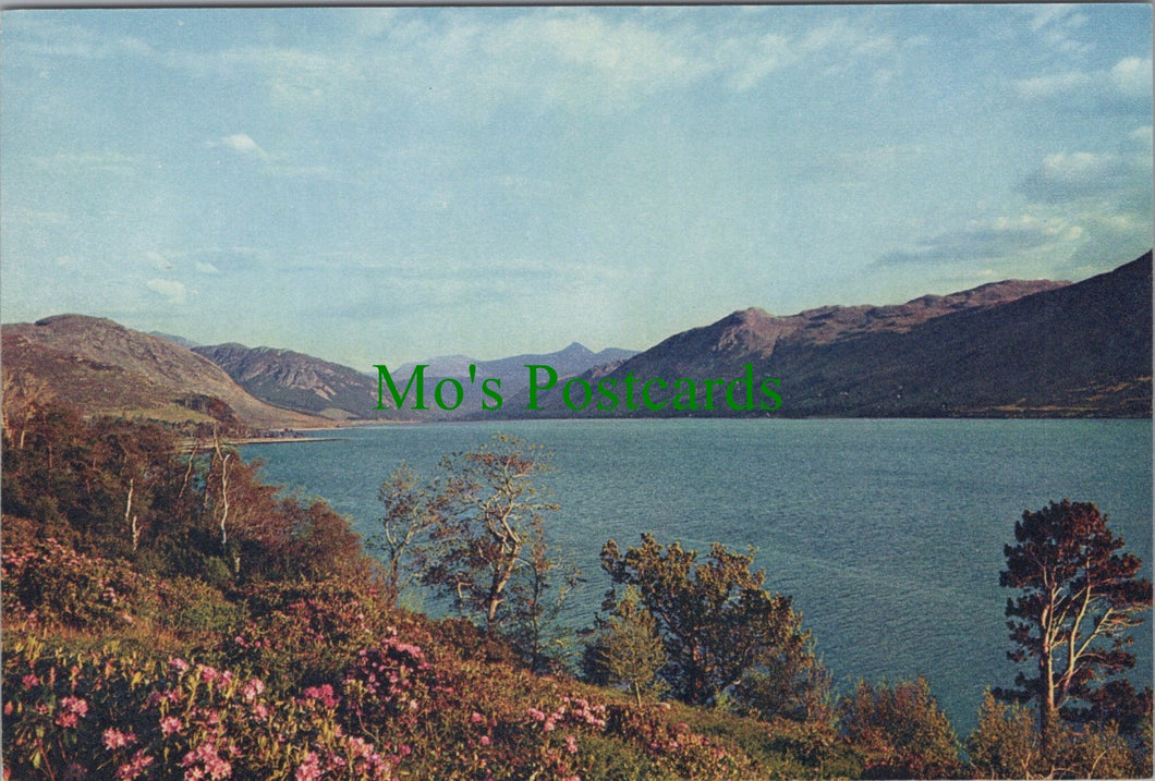 Loch Broom, Wester Ross