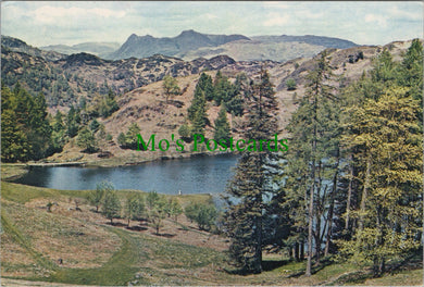 Langdale Pikes From Tarn Hows, Cumbria