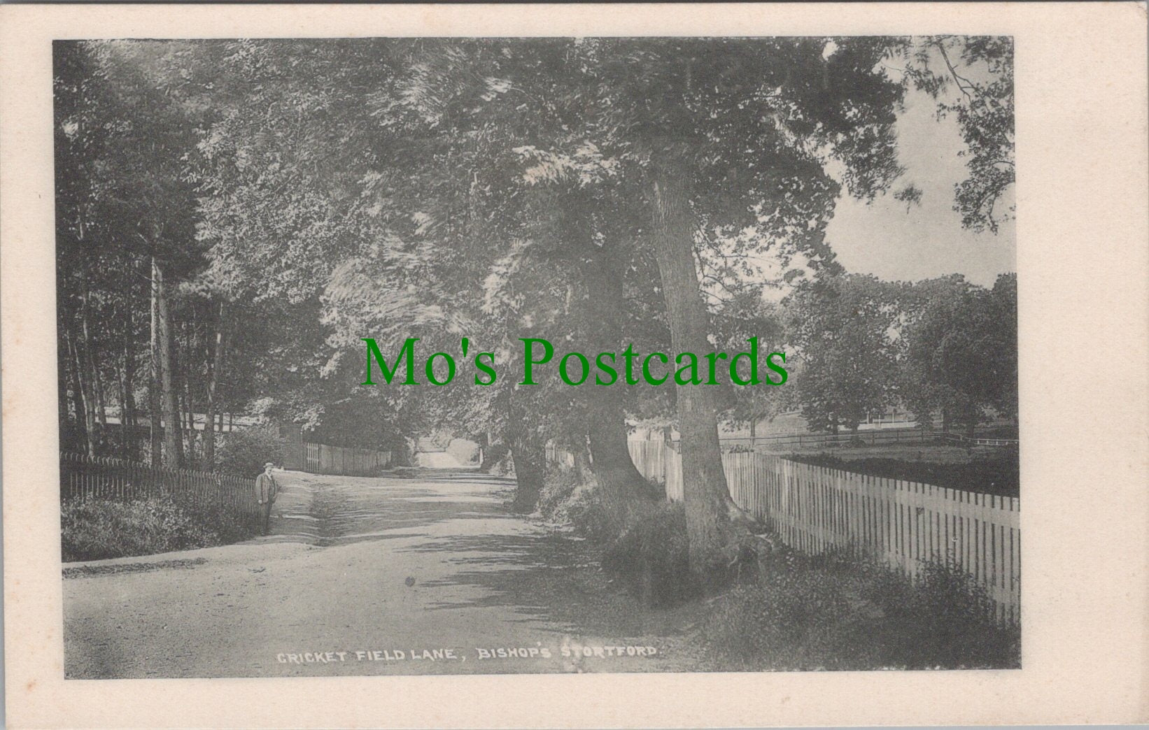 Cricket Field Lane, Bishop's Stortford, Hertfordshire