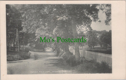 Cricket Field Lane, Bishop's Stortford, Hertfordshire