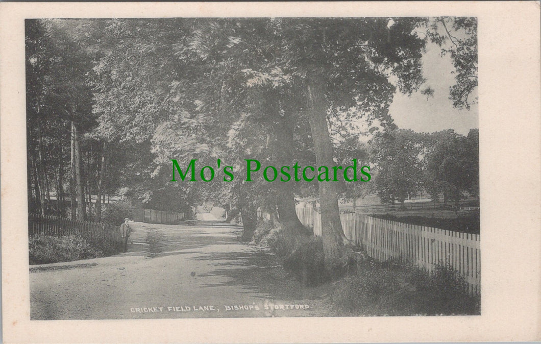 Cricket Field Lane, Bishop's Stortford, Hertfordshire