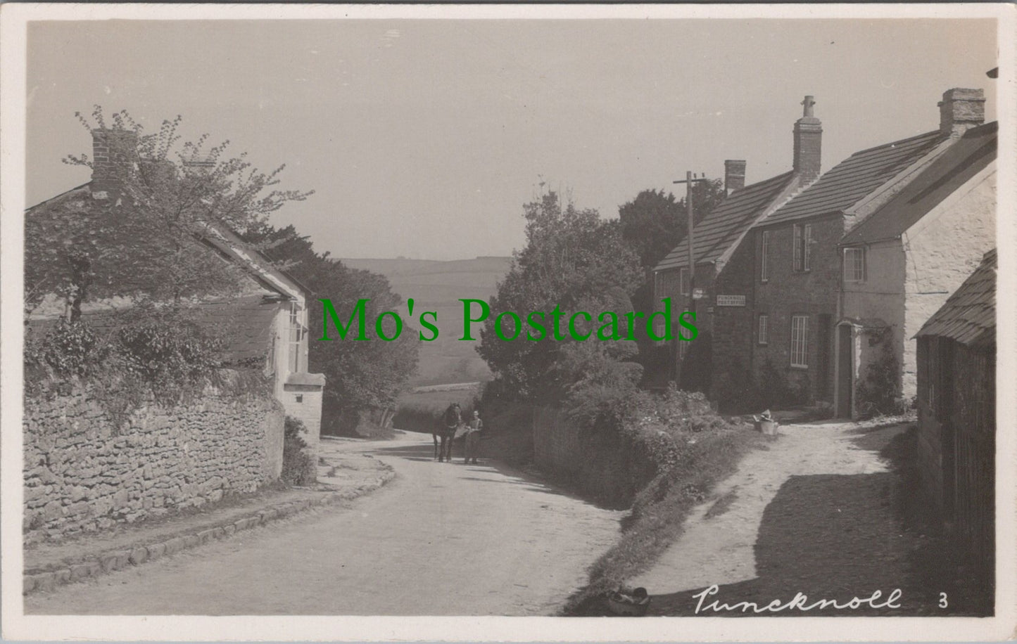 Puncknoll Village, Dorset