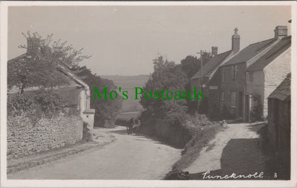 Puncknoll Village, Dorset