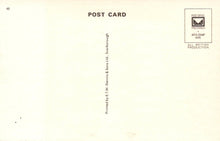 Load image into Gallery viewer, Cheshire Postcard - The Lewis Carroll Window, Daresbury Church - Mo’s Postcards 
