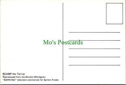 Dog Postcard - Scamp The Terrier