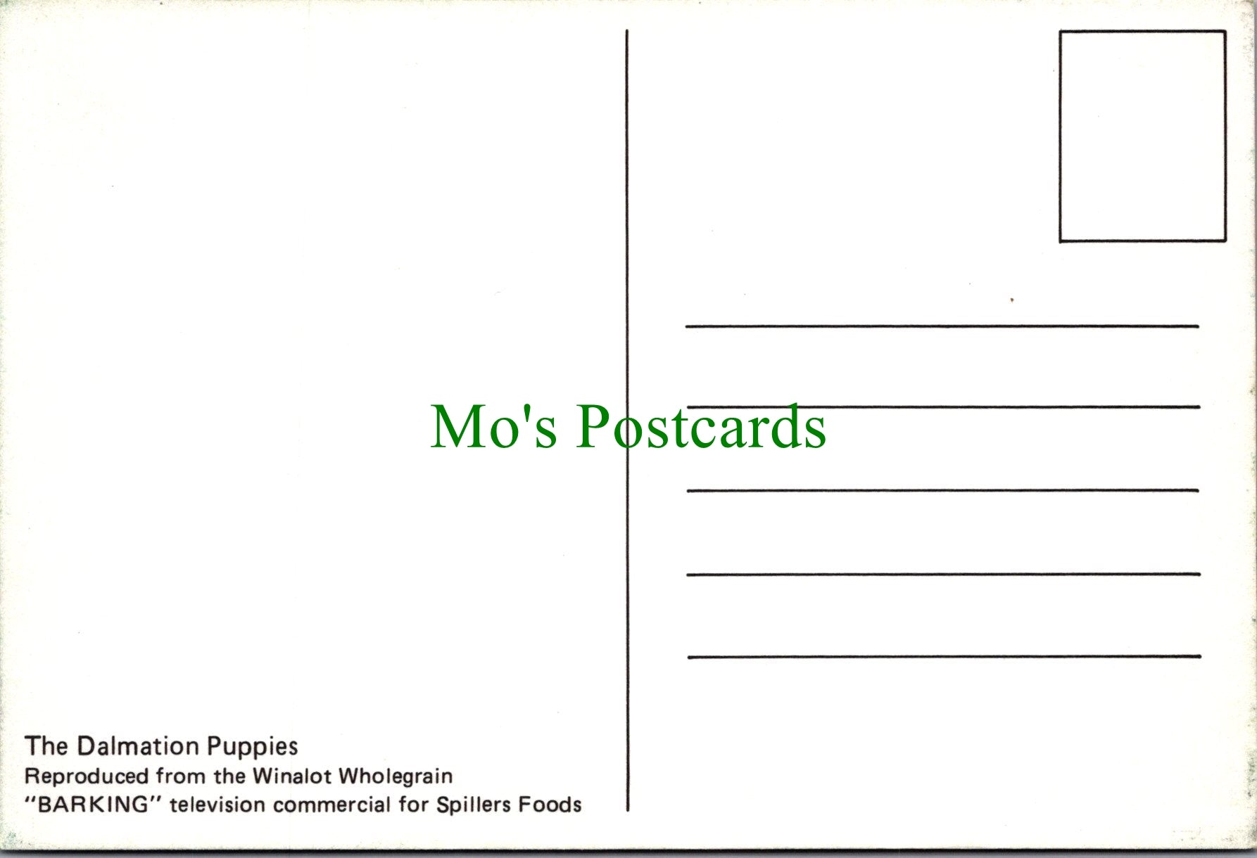 Dog Postcard - The Dalmation Puppies