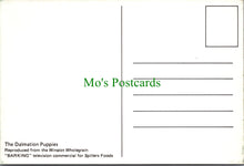 Load image into Gallery viewer, Dog Postcard - The Dalmation Puppies
