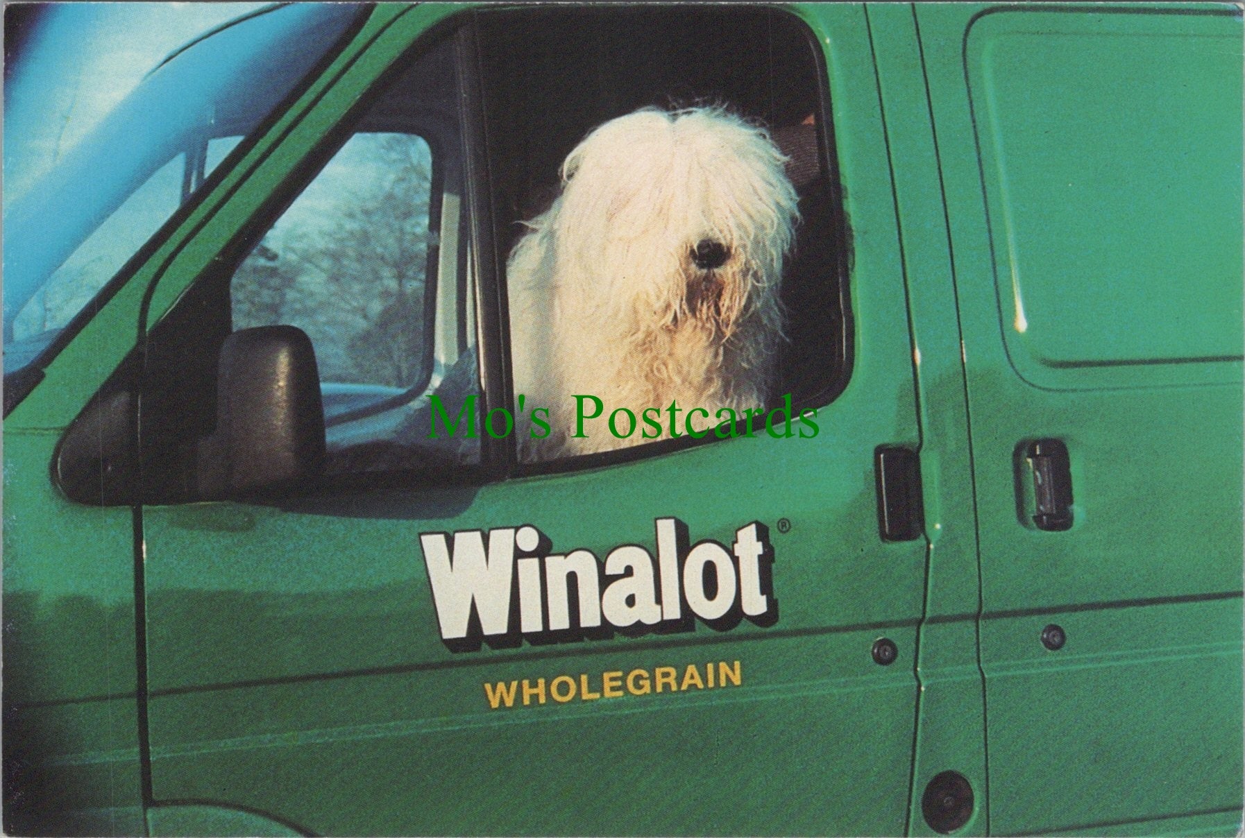 Dog Postcard - Barney The Old English Sheepdog