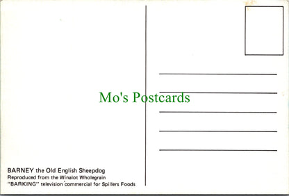 Dog Postcard - Barney The Old English Sheepdog
