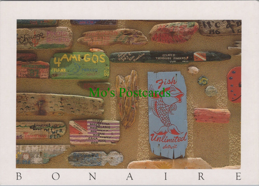 Driftwood, Bonaire, Dutch Caribbean