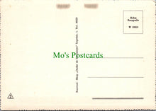 Load image into Gallery viewer, Views of Haarlem, The Netherlands
