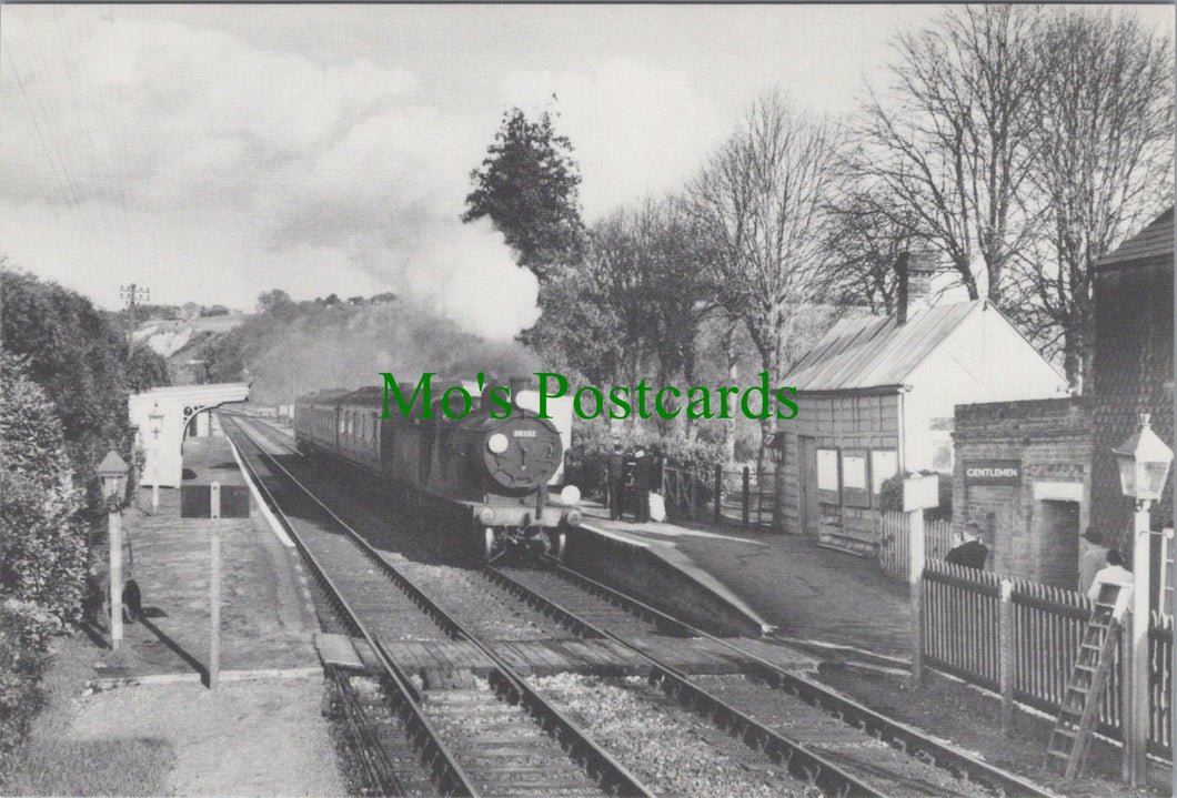Railways Postcard - Train at Mottisfont