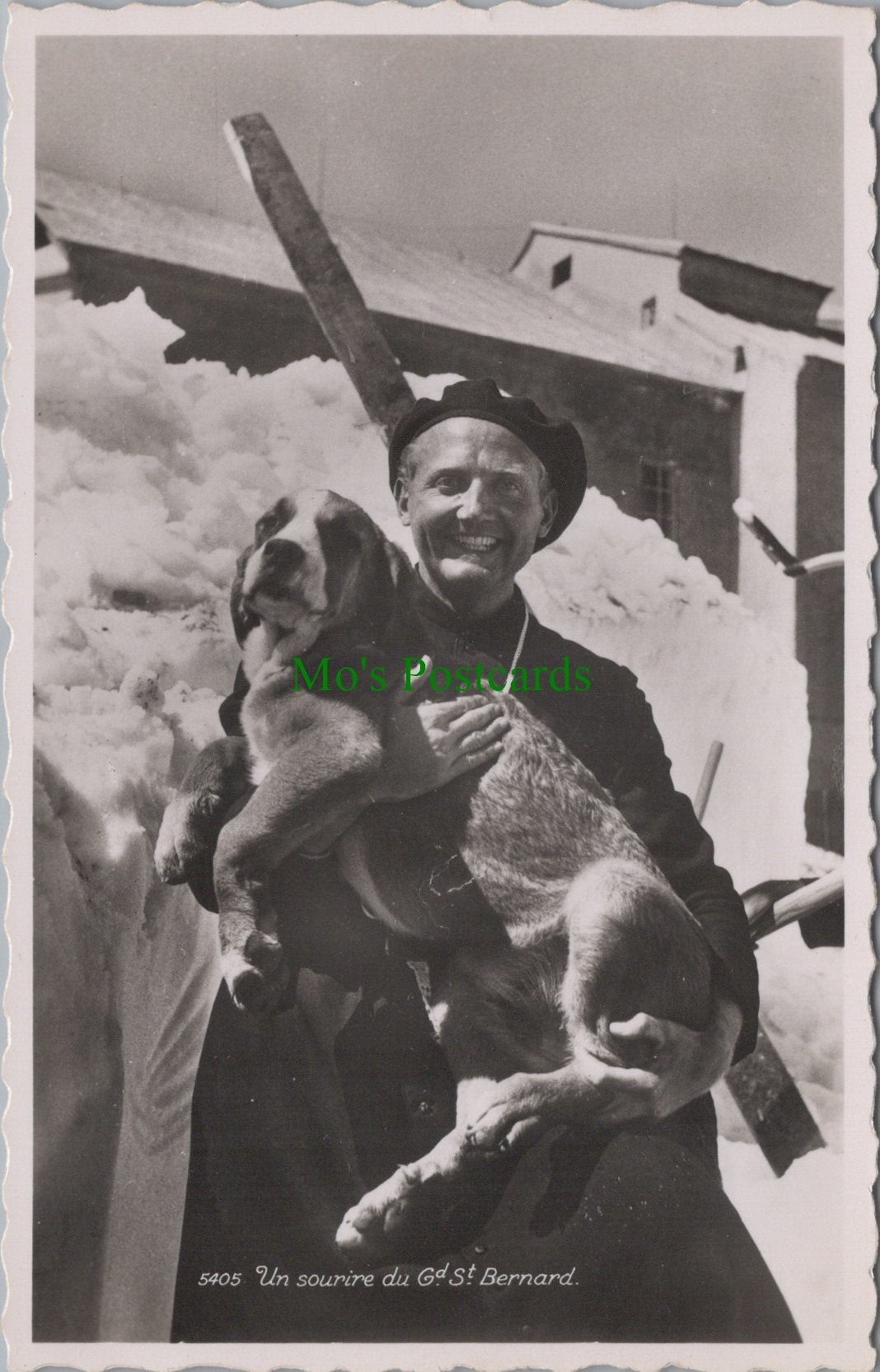Dogs Postcard - Un Sourire Du Gd St Bernard