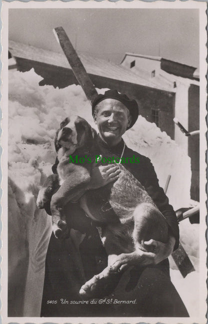 Dogs Postcard - Un Sourire Du Gd St Bernard