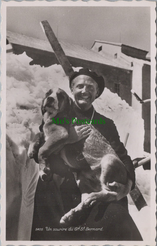 Dogs Postcard - Un Sourire Du Gd St Bernard