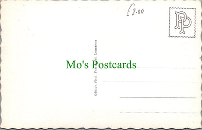 Dogs Postcard - Un Sourire Du Gd St Bernard
