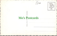 Load image into Gallery viewer, Dogs Postcard - Un Sourire Du Gd St Bernard
