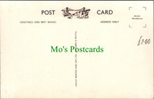 Load image into Gallery viewer, A Giraffe at The Bristol Zoo
