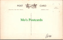 Load image into Gallery viewer, A Lion at The Bristol Zoo
