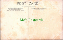 Load image into Gallery viewer, Animals Postcard - The Brown Bear
