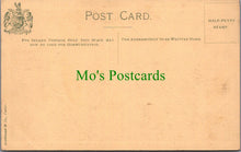 Load image into Gallery viewer, Tiger Display, The Royal Albert Memorial Museum, Exeter
