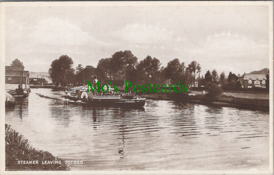 Steamer Leaving Totnes, Devon