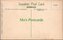 Load image into Gallery viewer, Hotel Frascatti, Flatts, Bermuda
