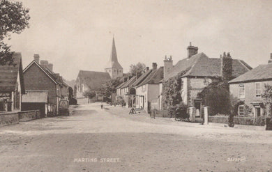 Sussex Postcard - Harting Street - Mo’s Postcards 