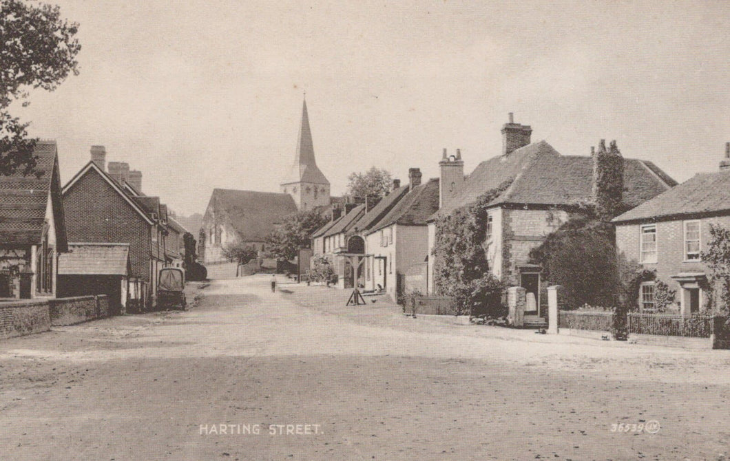 Sussex Postcard - Harting Street - Mo’s Postcards 