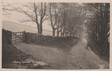 Load image into Gallery viewer, Yorkshire Postcard - Cherry Avenue, Ankness - Mo’s Postcards 
