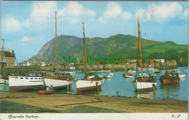 Ilfracombe Harbour, Devon