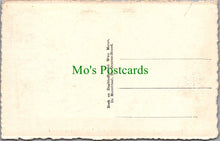 Load image into Gallery viewer, Deurne-Wood, Belgium
