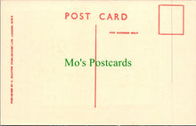 Load image into Gallery viewer, Comic Postcard - Risque / Wild Oats / Neighbour SW6032
