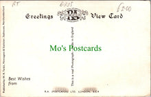 Load image into Gallery viewer, Birds Postcard - Kittiwake, Farne Islands
