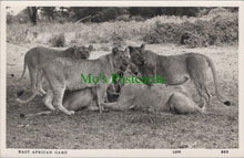 Load image into Gallery viewer, East African Game, Lions
