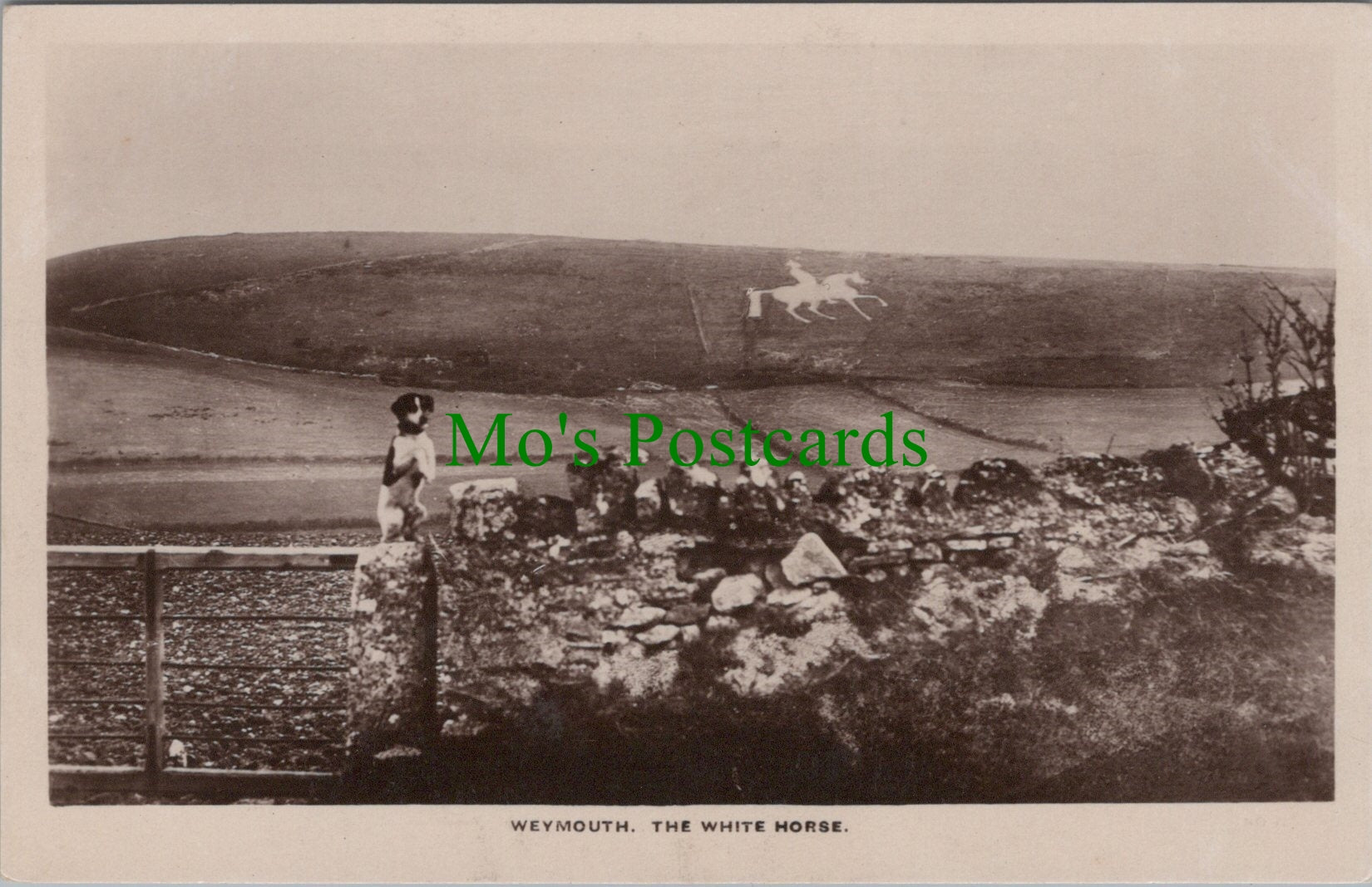 The White Horse, Weymouth, Dorset