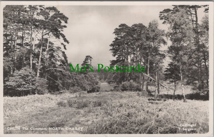 The Common, North Chailey, Sussex
