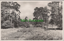 Load image into Gallery viewer, The Common, North Chailey, Sussex
