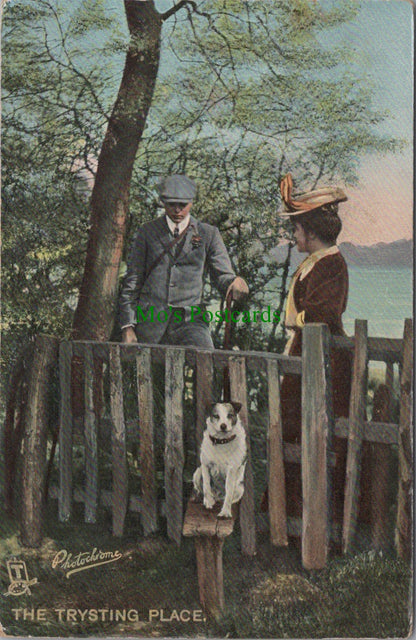 Dogs - At The Tryst - The Trysting Place