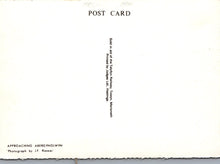 Load image into Gallery viewer, Railways Postcard - Train Approaching Abergynolwyn - Mo’s Postcards 
