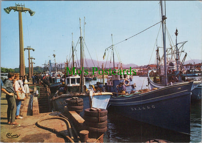Le Port, St-Jean De Luz, France