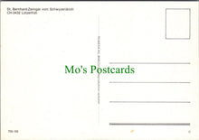 Load image into Gallery viewer, St Bernhard-Zwinger Vom Schwyzerlandli
