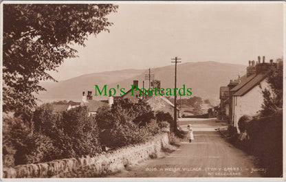 A Welsh Village, Tyn-Y-Groes